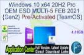 Windows 10 20H2 X64 10in1 OEM ESD en-US APRIL-28 2021 {Gen2}